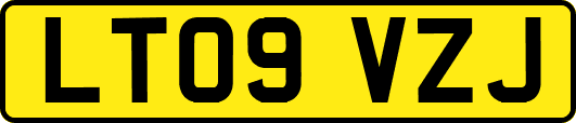 LT09VZJ