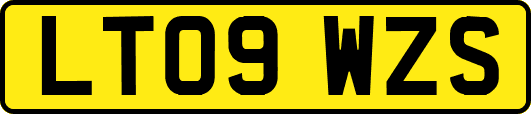 LT09WZS