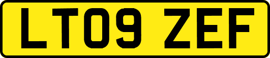 LT09ZEF