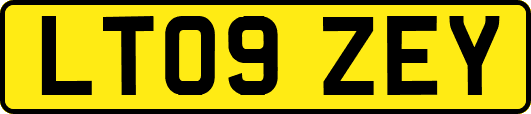 LT09ZEY