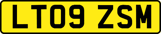 LT09ZSM