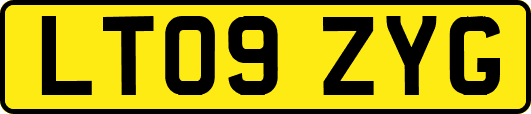 LT09ZYG