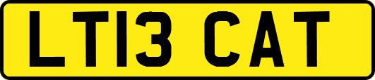 LT13CAT