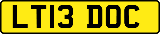LT13DOC