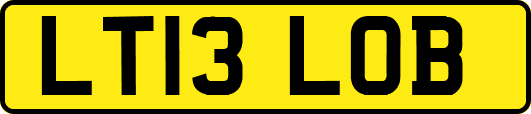 LT13LOB