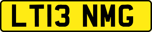 LT13NMG