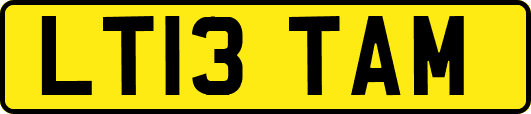LT13TAM