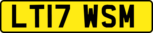 LT17WSM