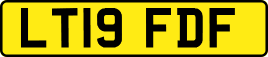 LT19FDF
