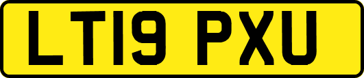 LT19PXU