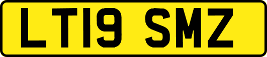 LT19SMZ