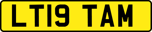 LT19TAM