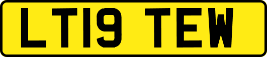 LT19TEW