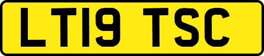 LT19TSC