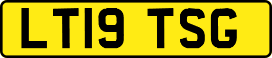 LT19TSG