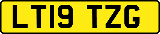LT19TZG