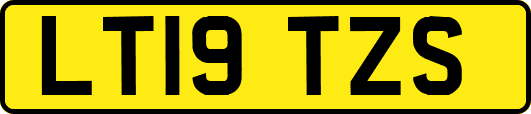 LT19TZS