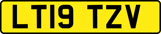 LT19TZV
