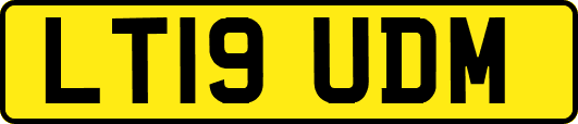 LT19UDM