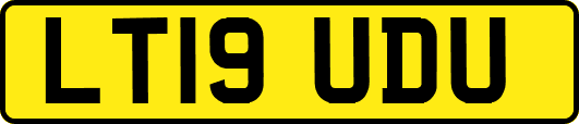 LT19UDU