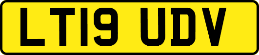 LT19UDV