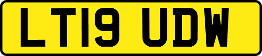 LT19UDW