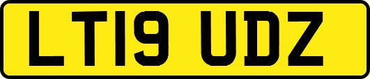 LT19UDZ