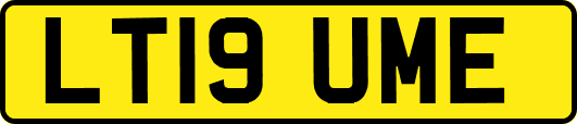 LT19UME