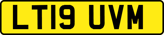 LT19UVM