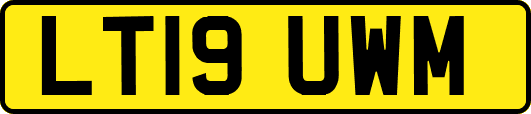 LT19UWM