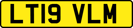 LT19VLM