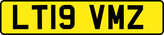 LT19VMZ