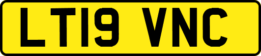 LT19VNC