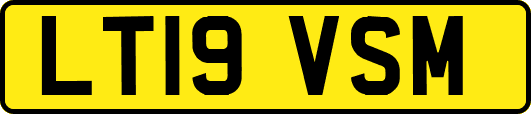 LT19VSM