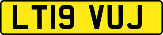 LT19VUJ