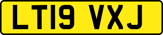 LT19VXJ