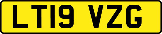LT19VZG