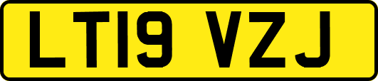 LT19VZJ
