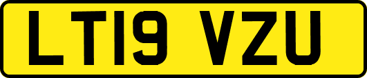 LT19VZU