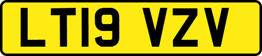 LT19VZV