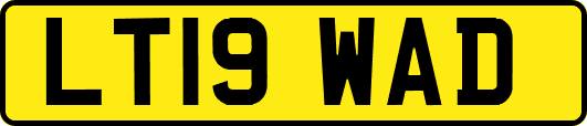 LT19WAD