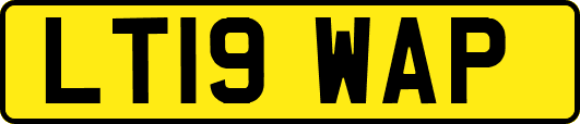 LT19WAP