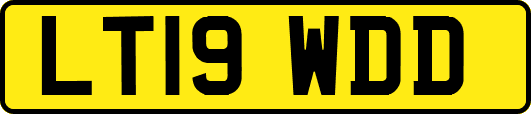 LT19WDD