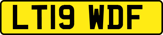LT19WDF