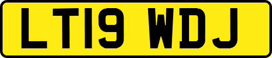 LT19WDJ