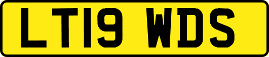 LT19WDS