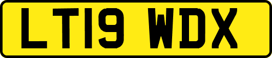 LT19WDX