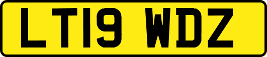 LT19WDZ