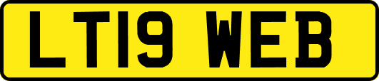 LT19WEB