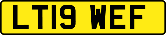 LT19WEF